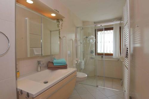 ein Bad mit einem Waschbecken, einer Dusche und einem WC in der Unterkunft Landhotel Zur Pferdetränke in Schleid