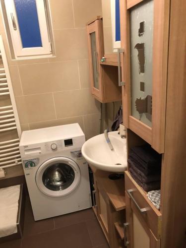 baño pequeño con lavadora y lavamanos en Gemütliche 3 Zimmer Wohnung, en Frauenhofen