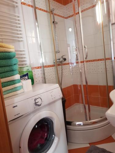 a bathroom with a washing machine and a shower at Minihaus in Zagreb in Sesvete