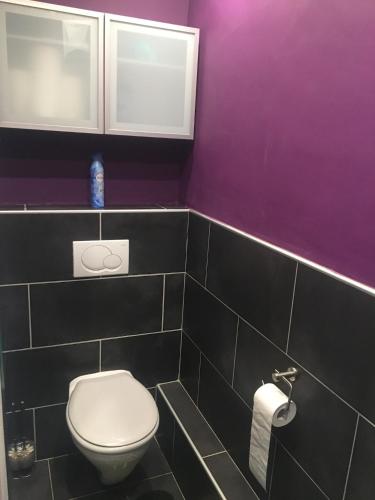 a bathroom with a toilet and a purple wall at Moderne Wohnung mit 74 m² Wohnfläche in Frauenhofen