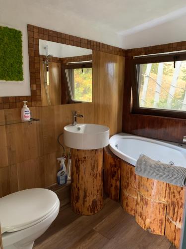 a bathroom with a sink and a tub and a toilet at Trees House Parang in Petroşani