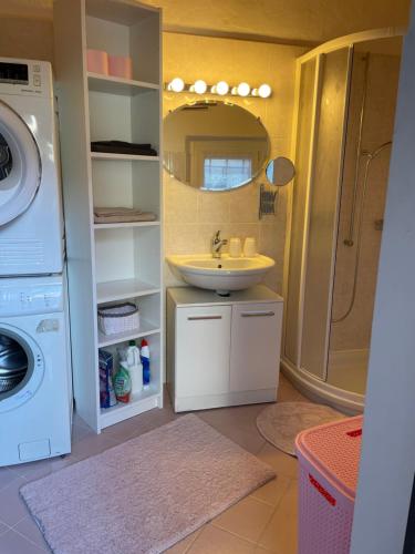 a bathroom with a sink and a washing machine at Casa Madonnina in Losone