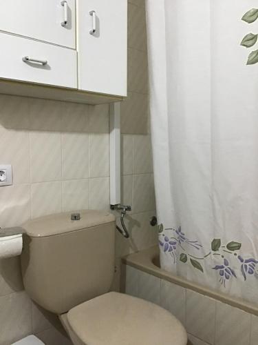 a small bathroom with a toilet and a shower at Apartamentos Playamar in La Playa Calera