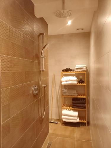 a bathroom with a shower and some towels at Pura Vida Panorama in Oud-Ade