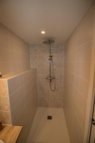 a bathroom with a shower with a shower head at Chambres d hôtes au Domaine de Robert in Fleurie