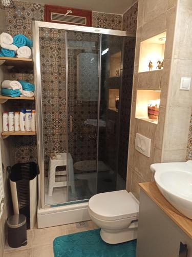 a bathroom with a shower and a toilet and a sink at Apartment Close2park *** in Čakovec
