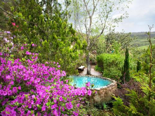 a garden with a swimming pool surrounded by flowers at Birches Cottage & the Willows Garden Room in Underberg