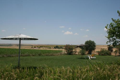 a chair and an umbrella in a field at Monte Da Morena Agro-Turismo in Serpa