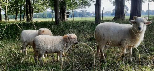 Château Côte de Nacre – Photos 2
