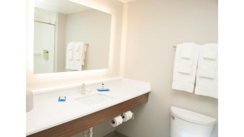 a bathroom with a sink and a mirror and a toilet at Holiday Inn Express Hotel & Suites Norfolk by IHG in Norfolk