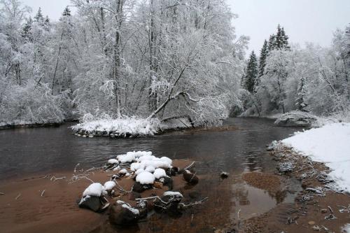 Gallery image of Bille in Bille