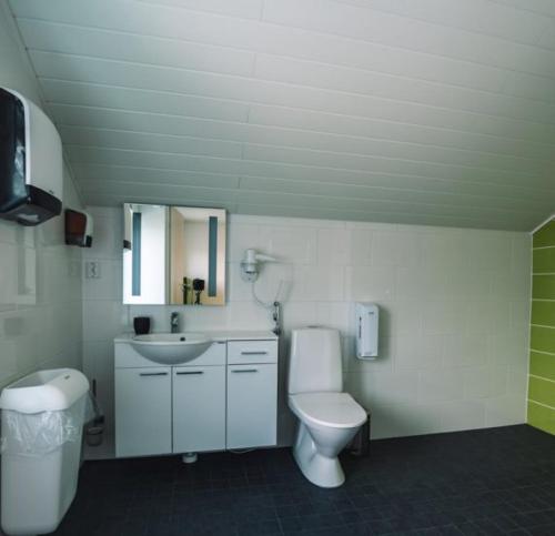 a bathroom with a toilet and a sink at Bed and Breakfast Artjärvi in Artjärvi