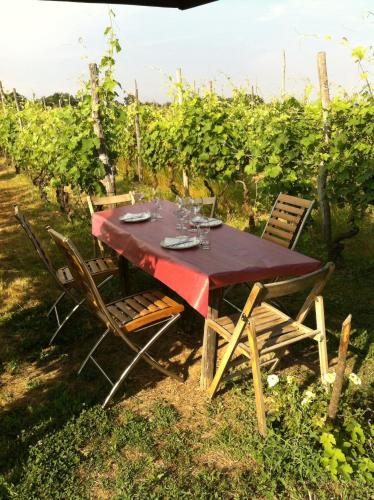 a table with chairs and wine glasses on it in a vineyard at Cascina La Maddalena Bed & Wine in Rocca Grimalda