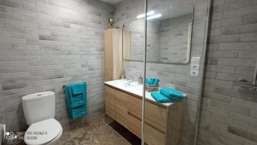 łazienka z toaletą, umywalką i prysznicem w obiekcie Riumar Nature 38 , piscina , aire acondicionado , barbacoa y pàrquing Privado w mieście Riumar