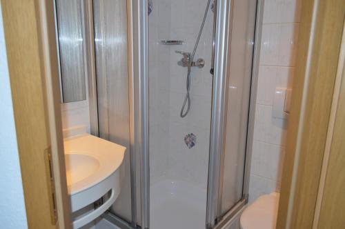 a bathroom with a shower and a toilet and a sink at Gasthof Hotel Löwen in Bad Buchau