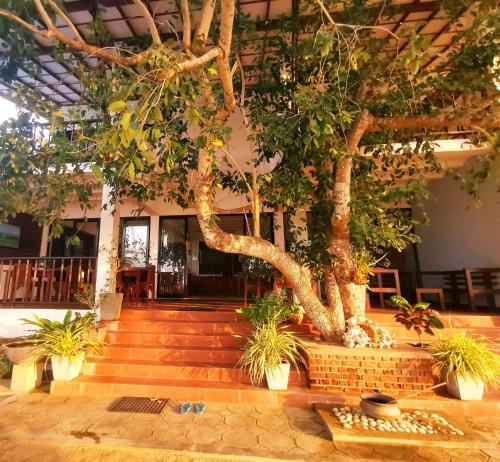 a courtyard with a tree in a building at Wellé Wadiya Beach Villa in Kalpitiya