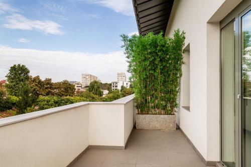a balcony with a plant on the side of a building at Tomis Garden Aparthotel Bucuresti in Bucharest