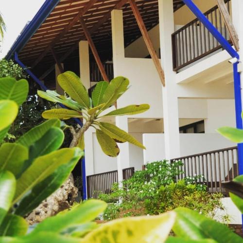 a palm tree in front of a white building at Wellé Wadiya Beach Villa in Kalpitiya