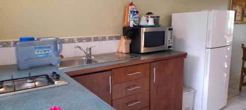 Dapur atau dapur kecil di Avana Waterfront Apartments