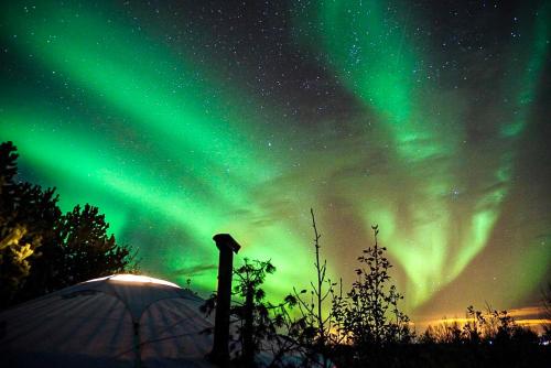 an image of the northern lights in the sky at Valhalla Yurts Odin in Selfoss