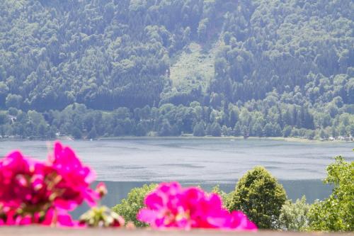 a view of a river with pink flowers at FEWO Wonta am Ossiachersee in Sattendorf