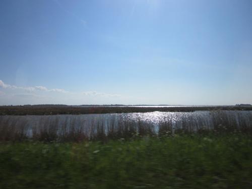 a view of a body of water with grass and weeds at Finisterre in Saaxumhuizen