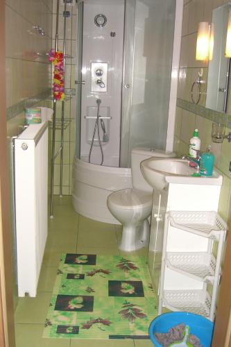 a bathroom with a toilet and a sink at Dom Wczasowy Pięciu Pomostów in Czaplinek