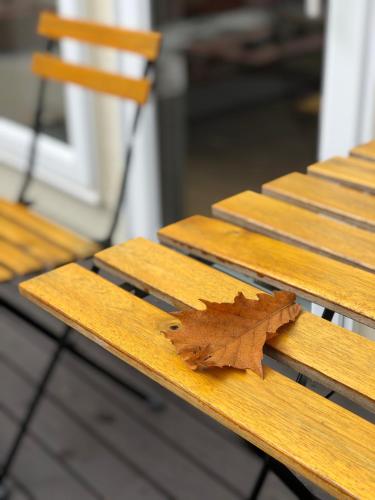 a leaf sitting on top of a wooden bench at 白樺湖ペンションロック in Chino