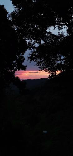 a view of a sunset from a field with a tree at Casa de campo Jaulares in Alaska
