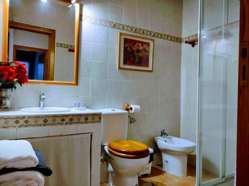 y baño con aseo, lavabo y ducha. en Apartamento Puerto de Navacerrada en Cercedilla