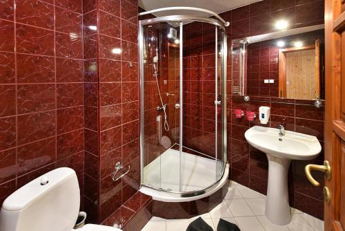 a bathroom with a shower and a toilet and a sink at Wellness Vila Astra in Stará Lesná