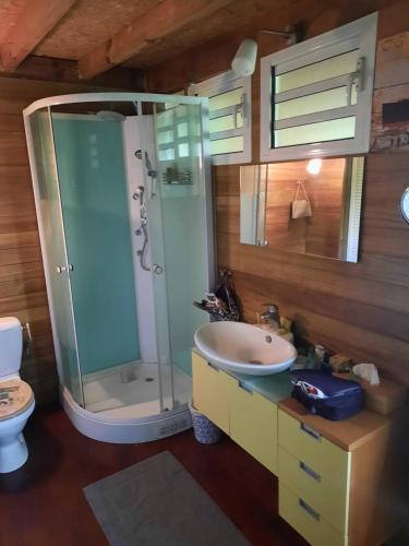 La salle de bains est pourvue d'une douche et d'un lavabo. dans l'établissement Heliconia 1 ou 2 chambres, cuisine, terrasse, piscine partagée, 2 à 4 personnes, à L'Étang-Salé