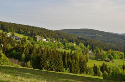 a green field with trees and houses in the distance at Penzion U Horejšů, Zadov - Churáňov in Stachy