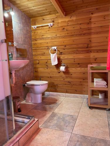 a wooden bathroom with a toilet and a sink at La casita de invitados in Denia