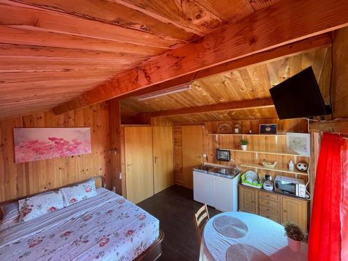 een slaapkamer met een bed en een tafel in een kamer bij La casita de invitados in Denia