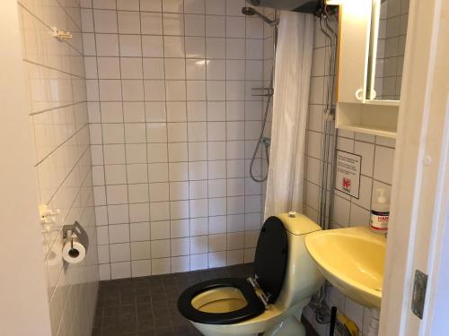 a small bathroom with a toilet and a sink at Gården Ekön in Forserum