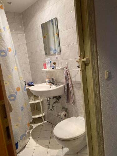 a small bathroom with a toilet and a sink at Pension Tom´s Hütte in Nossen