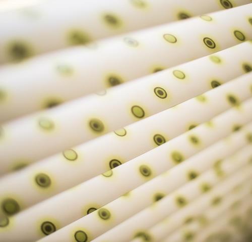 a close up of a close up of some chop sticks at La Goélette, Chambres d'Hôtes in Wimereux