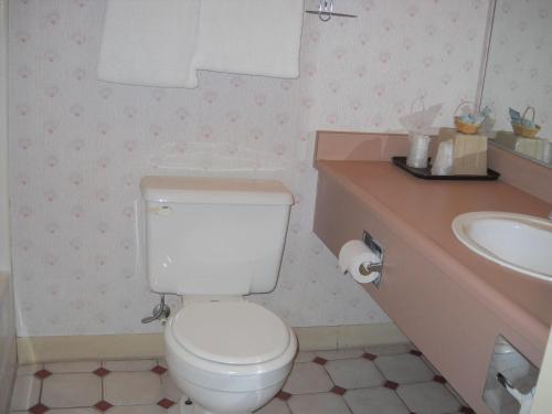 a bathroom with a white toilet and a sink at Palms Courtyard Inn in Westminster