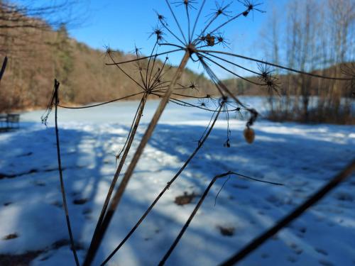 a view of a snow covered field with a lake at Willa Zamkowisko in Gołubie