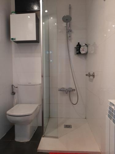 a bathroom with a toilet and a glass shower at Atico en el centro de Vitoria in Vitoria-Gasteiz