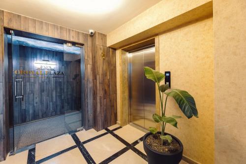a plant in a pot in front of a door at Royal Plaza Hotel in Tbilisi City