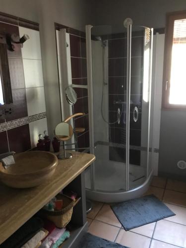 y baño con ducha y lavamanos. en Domaine Trevinella, en Cauro