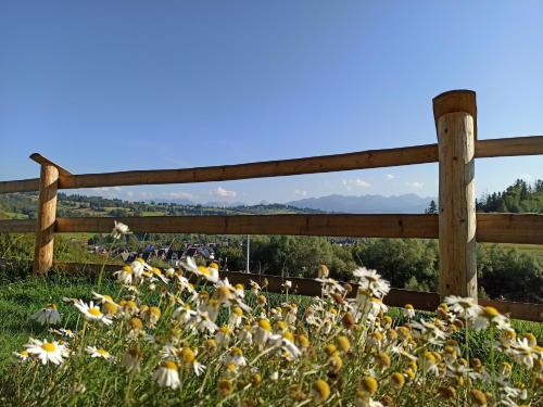 a fence with a bunch of flowers in the grass at Domek na Ubocy z jacuzzi, sauną i widokiem in Biały Dunajec