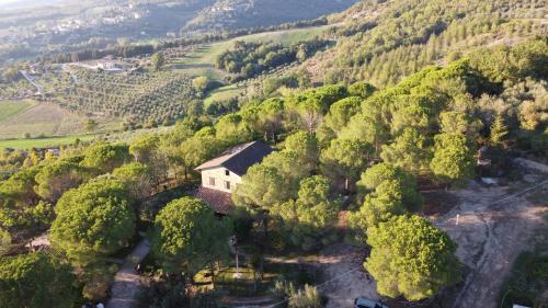 una vista aérea de una casa en medio de un bosque en Il Cantico delle Cicale, en Piccione