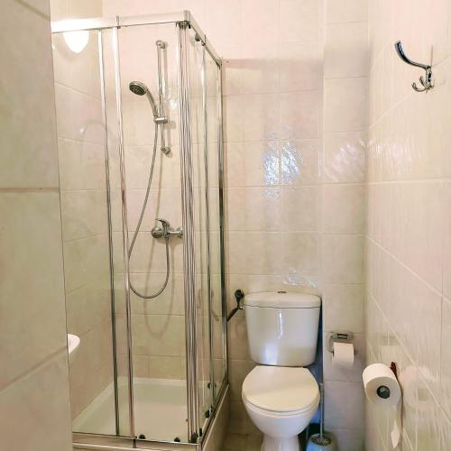 a bathroom with a toilet and a glass shower at Willa Zamkowisko in Gołubie