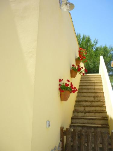 a staircase with potted plants on the side of a building at Agriturismo Tenuta La Siesta in Gallipoli