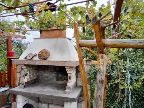 an outdoor oven with a plant on top of it at Holiday guest house KEMO in Sapareva Banya