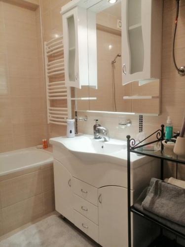 a bathroom with a sink and a tub and a mirror at Apartman River in Sremska Mitrovica