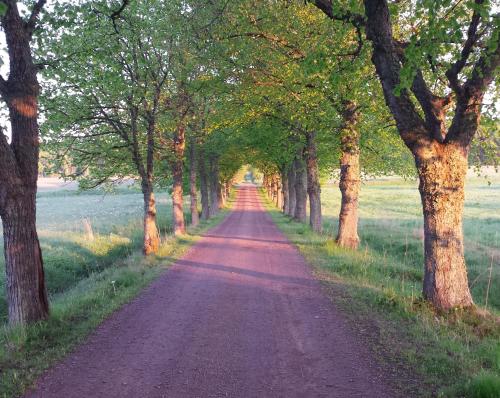 Gallery image of Röda Stallet Bed & Breakfast in Hjo